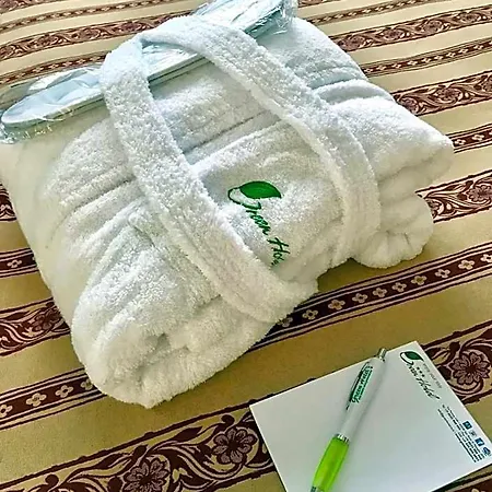 Hotel Green Hotel 3*
